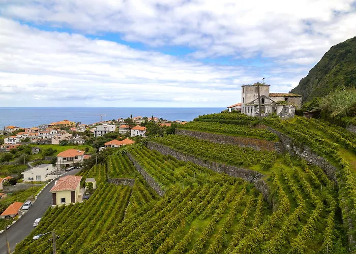 Apartment Solar Do Pico *